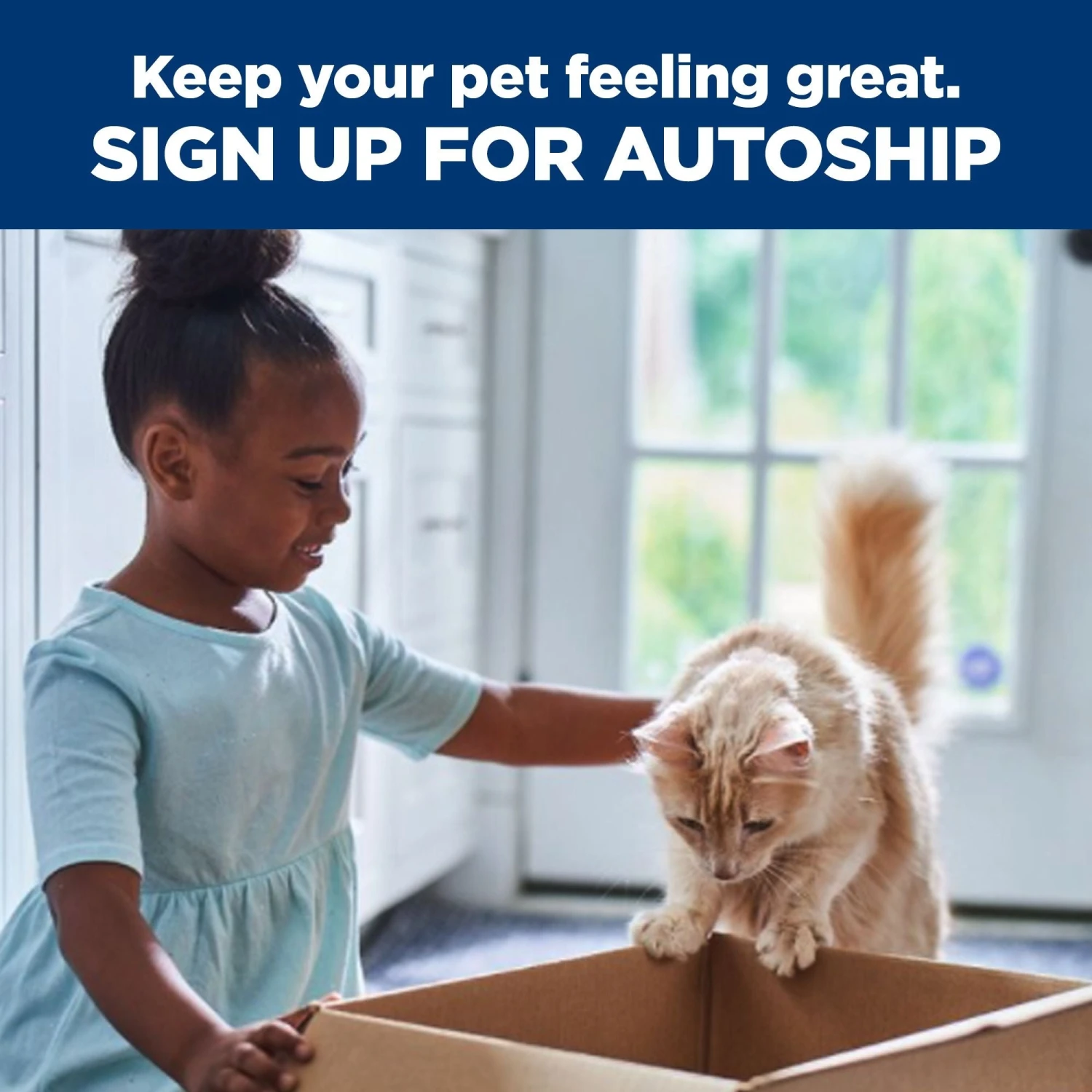 Hill's Prescription Diet Feline Y/d Thyroid Care Wet Cat Food 156g Cans 18 Hill's Prescription Diet Feline Y/d Thyroid Care Wet Cat Food 156g Cans - Image 16