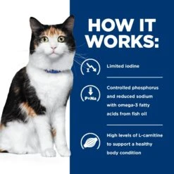 Hill's Prescription Diet Feline Y/d Thyroid Care Dry Cat Food 22 Hill's Prescription Diet Feline Y/d Thyroid Care Dry Cat Food -KONG Shop HILL 52742149707NEW 10
