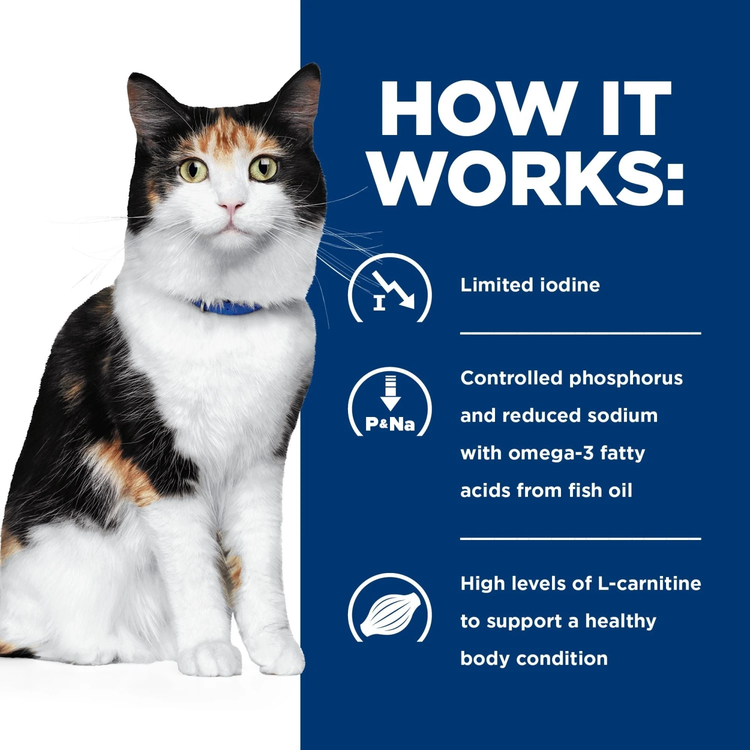 Hill's Prescription Diet Feline Y/d Thyroid Care Dry Cat Food 7 Hill's Prescription Diet Feline Y/d Thyroid Care Dry Cat Food - Image 5