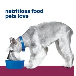 Hill's Prescription Diet I/d Low Fat Digestive Care Adult Dog Dry Food -KONG Shop HILL 52742186108NEW 16