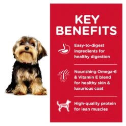 Hill's Science Diet Small Paws Lamb Meal & Brown Rice Recipe Adult Dog Dry Food -KONG Shop HILL 52742289601 7