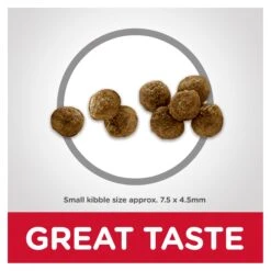 Hill's Science Diet Small Paws Lamb Meal & Brown Rice Recipe Adult Dog Dry Food -KONG Shop HILL 52742289601 8