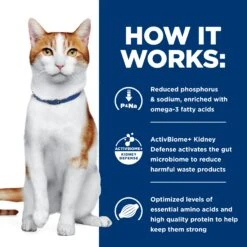 Hill's Prescription Diet K/d Chicken & Vegetable Stew Adult Cat Wet Food 82g Cans -KONG Shop HILL 52742339306NEW 12