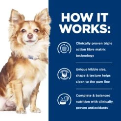 Hill's Prescription Diet T/d Dental Care Small Bites Adult Dog Dry Food -KONG Shop HILL 52742400501NEW 8