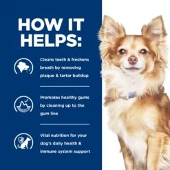 Hill's Prescription Diet T/d Dental Care Small Bites Adult Dog Dry Food -KONG Shop HILL 52742400501NEW 9