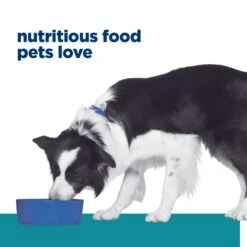 Hill's Prescription Diet T/d Dental Care Adult Dog Dry Food -KONG Shop HILL 52742401300NEW 14