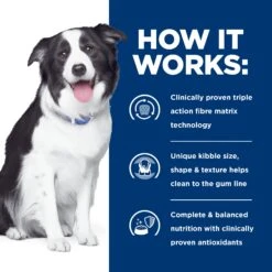 Hill's Prescription Diet T/d Dental Care Adult Dog Dry Food -KONG Shop HILL 52742401300NEW 7