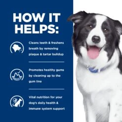 Hill's Prescription Diet T/d Dental Care Adult Dog Dry Food -KONG Shop HILL 52742401300NEW 8