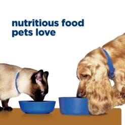 Hill's Prescription Diet Urgent Care A/d Adult Cat & Dog Wet Food 156g Cans -KONG Shop HILL 52742567006NEW 17