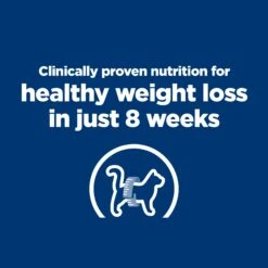 Hill's Prescription Diet R/d Weight Loss Adult Cat Dry Food 24 Hill's Prescription Diet R/d Weight Loss Adult Cat Dry Food -KONG Shop HILL 52742589800NEW 5