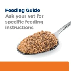 Hill's Prescription Diet C/d Multicare Urinary Care With Chicken Adult Cat Wet Food 156g Cans -KONG Shop HILL 52742623801NEW 10