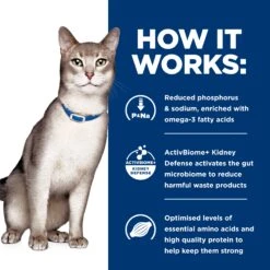Hill's Prescription Diet K/d Kidney Care Adult Cat Dry Food 24 Hill's Prescription Diet K/d Kidney Care Adult Cat Dry Food -KONG Shop HILL 52742725208NEW 10