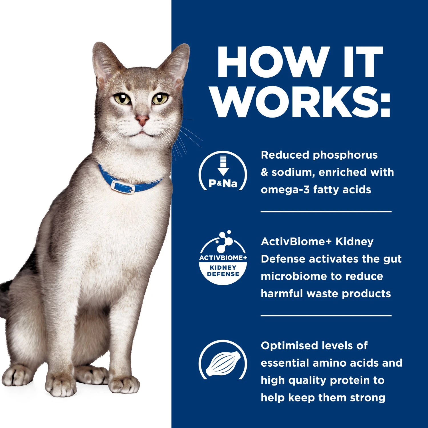 Hill's Prescription Diet K/d Kidney Care Adult Cat Dry Food 8 Hill's Prescription Diet K/d Kidney Care Adult Cat Dry Food - Image 6