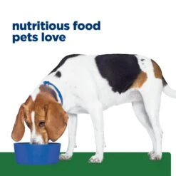 Hill's Prescription Diet R/d Weight Loss Adult Dog Dry Food -KONG Shop HILL 52742859903NEW 17