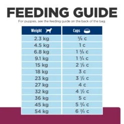 Hill's Prescription Diet I/d Digestive Care Dog Dry Food -KONG Shop HILL 52742861807NEW 10