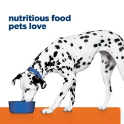 Hill's Prescription Diet U/d Urinary Care Adult Dog Dry Food -KONG Shop HILL 52742867007NEW 17