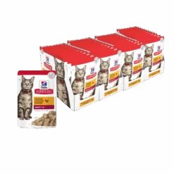Hill's Science Diet Chicken Adult Cat Wet Food 85g Pouches -KONG Shop Hill sScienceDietAdultChickenWetCatFood85g