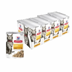 Hill's Science Diet Urinary Hairball Control Chicken Adult Cat Wet Food 85g Pouches -KONG Shop Hill sScienceDietAdultUrinaryHairballControlChickenCatFood85g