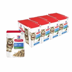 Hill’s Science Diet Healthy Development With Ocean Fish Kitten Wet Food 85g Pouches -KONG Shop Hill sScienceDietFelineHealthyDevelopmentKittenwithOceanFish85g