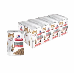 Hill’s Science Diet Neutered Young Adult With Salmon Cat Wet Food 85g Pouches -KONG Shop Hill sScienceDietFelineNeuteredYoungAdultwithSalmon85g