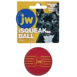 JW Pets ISqueak Ball Dog Toy -KONG Shop JWiSQUEAKBALL4