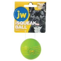 JW Pets ISqueak Ball Dog Toy -KONG Shop JWiSQUEAKBALL7