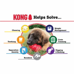 KONG Dog Extreme Black -KONG Shop K3 EDU 2