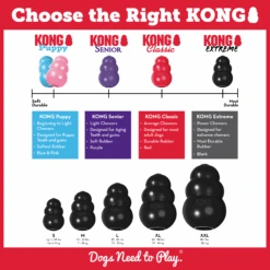 KONG Dog Extreme Black -KONG Shop K3 EDU 3
