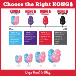 KONG Puppy -KONG Shop KP4 EDU 3