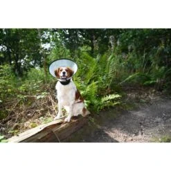 Kruuse Buster Complete Elizabethan Collar -KONG Shop KruuseBusterCompleteElizabethanCollar4