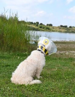 Kruuse Buster Elizabethan Under Construction Design Collar -KONG Shop KruuseBusterElizabethanUnderConstruction4