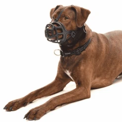 Kruuse Extreme Dog Muzzle