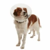 Kruuse Buster Elizabethan Clic Collar -KONG Shop Kruuse Buster Elizabethan Clic Collar ELIZ BC 1 Primary
