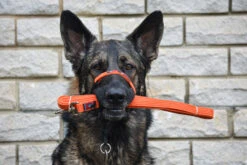 Black Dog Wear Long Lead Regular Black -KONG Shop LL2