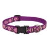 LupinePet Rose Garden Original Designs Dog Collar -KONG Shop LProsegardendog