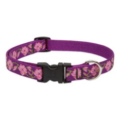 LupinePet Rose Garden Original Designs Dog Collar