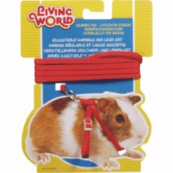 Living World Guinea Pig Harness/Lead Set