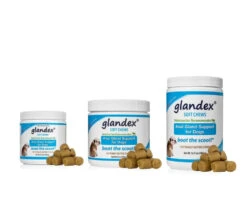 Glandex Peanut Butter Soft Chews For Dogs -KONG Shop Logopit 1642590891006 1200x1200 c33e8631 58fc 4ab7 a868 0d4ee570e71f