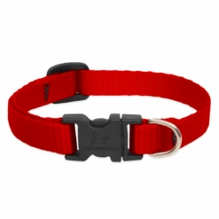 LupinePet Basic Solids Red Adjustable Dog Collar