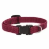 LupinePet Berry Eco Dog Collar
