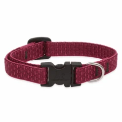 LupinePet Berry Eco Dog Collar