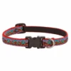 LupinePet El Paso Original Designs Dog Collar