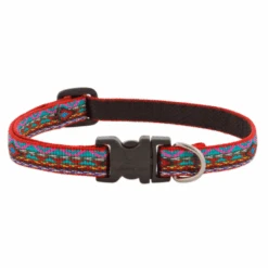 LupinePet El Paso Original Designs Dog Collar