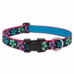 LupinePet Flower Power Original Designs Dog Collar 2.5cm