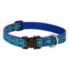 LupinePet Rain Song Original Designs Dog Collar -KONG Shop LupinePet Rain Song Original Designs Dog Collar COLL L188 Primary