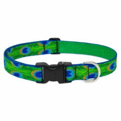 LupinePet Tail Feather Original Designs Dog Collar