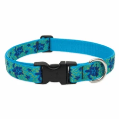 LupinePet Turtle Reef Original Designs Dog Collar 2.5cm