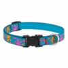 LupinePet Wet Paint! Original Designs Dog Collar 1.9cm -KONG Shop LupinePet Wet Paint Original Designs Dog Collar 1.9cm COLL L664 Primary