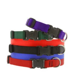 KONG Shop -KONG Shop Lupinesolidcolor