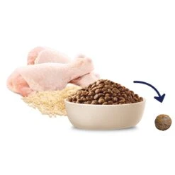 Advance Chicken & Rice Puppy Plus Growth Dry Food -KONG Shop MARS 9334214002767 10